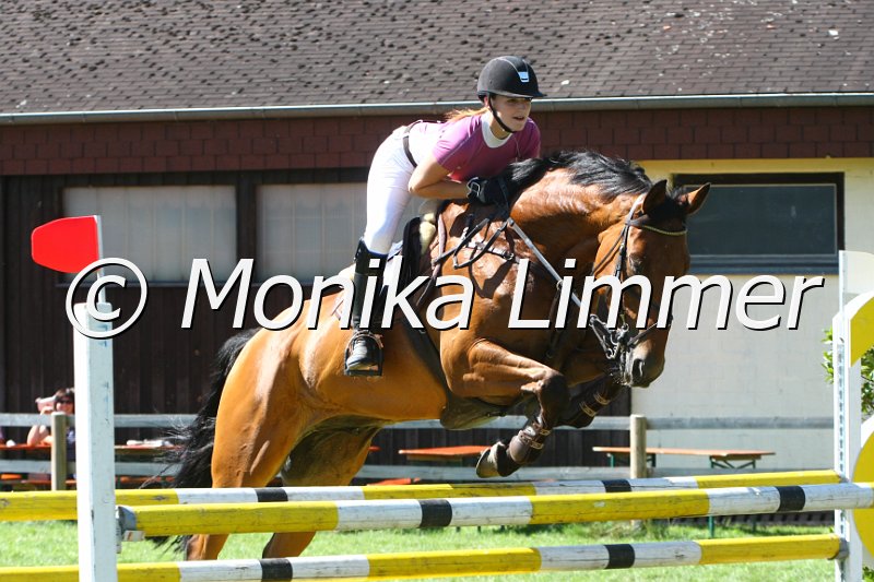 109M7278_Brandaan BWP_Spring L.JPG